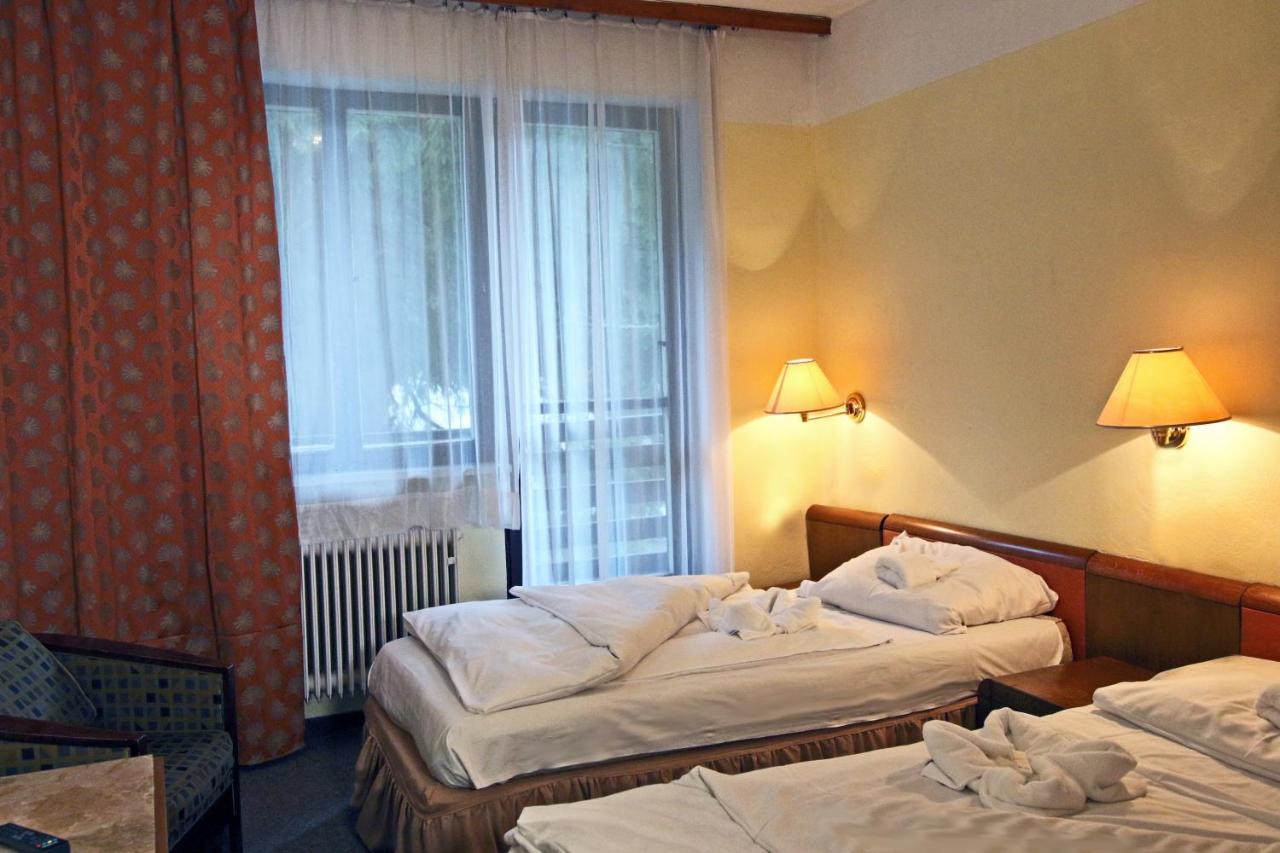 Hotel Medlov Depandance Fryšava Extérieur photo